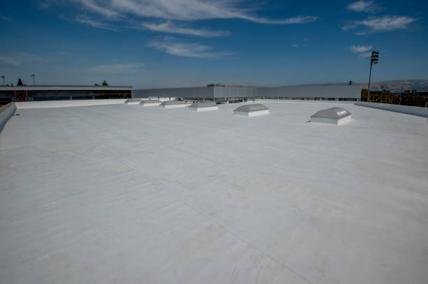 Best Roof Moss and Algae Removal  in Whitewright, TX