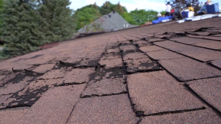 Best Metal Roofing Installation  in Whitewright, TX