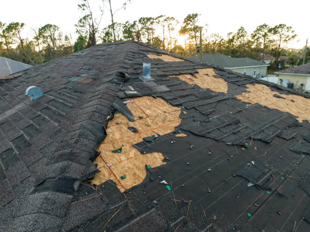 Best Sheet Metal Roofing  in Whitewright, TX