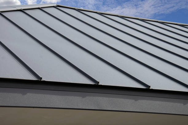Best Solar Panel Roofing Installation  in Whitewright, TX
